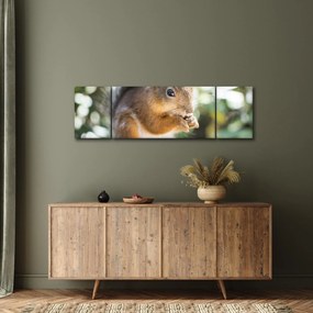 Obraz wiewiórki (170x50 cm)