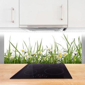 Panel Kuchenny Polana Pełna Stokrotek