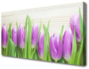 Obraz Canvas Tulipany Kwiaty Natura