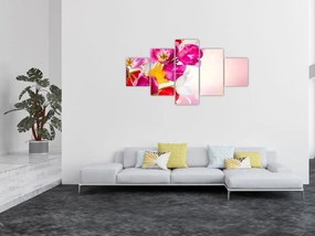 Obraz tulipanów (125x70 cm)