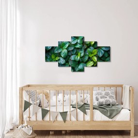 Obraz - Rośliny zielone (125x70 cm)