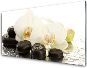 Panel Szklany Równowaga: Kwiat i Gładki Kamień