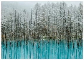 Obraz na szkle - Turkusowy staw, Biei, Japonia (70x50 cm)