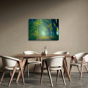 Obraz na szkle - droga wysadzana drzewami (70x50 cm)