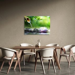 Obraz na szkle - Lotos (70x50 cm)