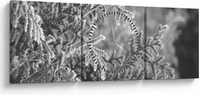 Obraz - Las świerkowy (z zegarem) (90x30 cm)