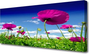 Obraz canvas Horyzont nad Kwitnącą Łąką