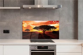Panel szklany do Kuchni Drzewa pod Wieczornym Niebem