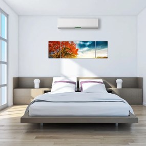 Obraz skąpanego w słońcu krajobrazu (170x50 cm)