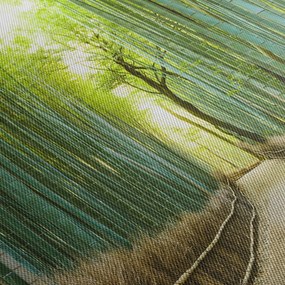 Obraz - Las bambusowy (125x70 cm)