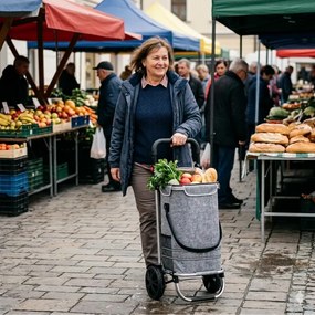 Torba na zakupy na kółkach EASY, 50l, szara Monzana