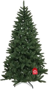 Świerk kanadyjski 210 cm