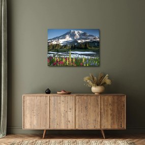 Obraz - Mount Rainier (70x50 cm)