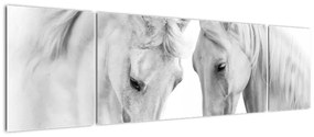 Obraz białych koni (170x50 cm)