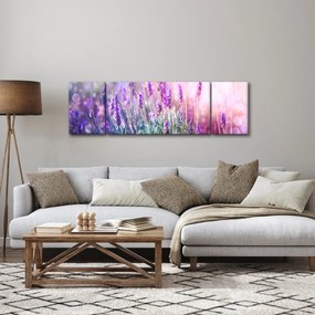 Obraz - Lawenda w słońcu (170x50 cm)