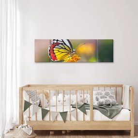 Obraz motyla na kwiatku (170x50 cm)