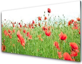 Panel nad blat kuchenny Krwistoczerwone Maki