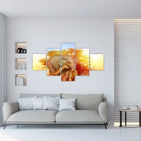 Obraz zwierząt afrykańskich (125x70 cm)