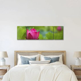 Obraz - roślina wodna (170x50 cm)