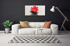 Obraz canvas Radosna Gerbera w Detalu