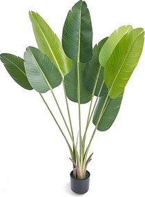 1,5M Sztuczne Drzewo Rajskie SucceBuy, Sztuczna Zielona Roślina