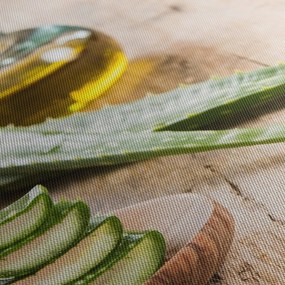 Obraz - Aloes (z zegarem) (90x30 cm)