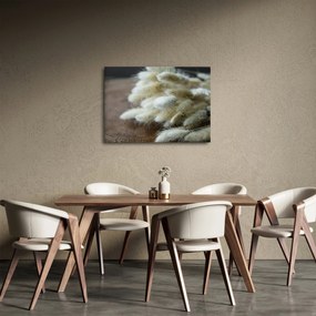Obraz - Zajęczy ogonek (70x50 cm)