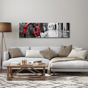 Obraz czerwonego roweru na brukowanej uliczce (170x50 cm)