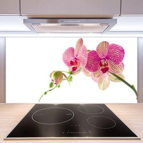 Panel nad blat kuchenny Bukiet Polnych Kwiatów