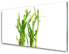 Panel Kuchenny Bambus Łodyga Kwiat Roślina