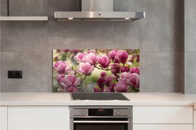 Panel Kuchenny Szklany Kwitnące Drzewa Owocowe