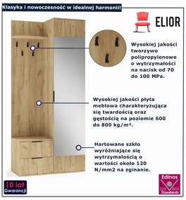 Z lustrem garderoba dąb złoty Z0-E21