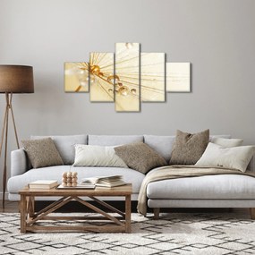 Obraz - Zdjęcie makro mniszka lekarskiego (125x70 cm)