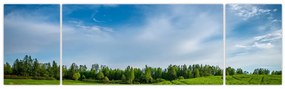 Obraz łąki (170x50 cm)