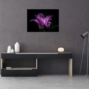 Obraz na szkle lilii (70x50 cm)