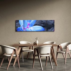 Obraz szczegółu kwiatu (170x50 cm)