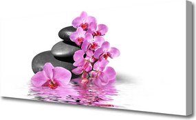 Obraz na płótnie Harmonijny Układ Natury