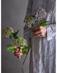 Sztuczna roślina (wysokość 49 cm) Throatwort – Bloomingville