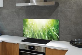 Szklany Panel Krople Rosy w Słońcu