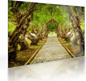 Obraz na szkle - Żywy tunel plumerii (70x50 cm)