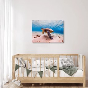 Obraz na szkle żółwia w oceanie (70x50 cm)