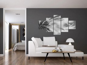 Obraz - Mlecz (125x70 cm)