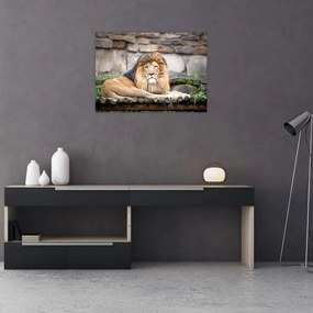Obraz na szkle lwa (70x50 cm)