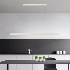 Brilagi - Lampa wisząca na lince PAXIS LED/30W/230V 120 cm biała