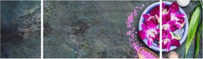 Obraz - Wellness (170x50 cm)