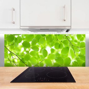 Panel Kuchenny Organiczne Formy Liści