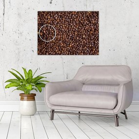 Obraz - ziarna kawy (70x50 cm)