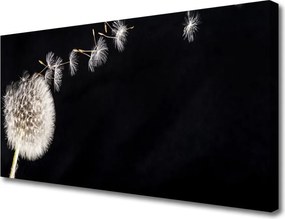 Obraz canvas Lekkość Polnego Dmuchawca