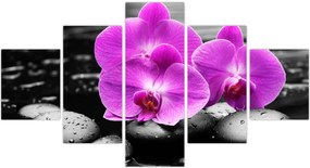 Obraz - Fioletowe orchidee (125x70 cm)