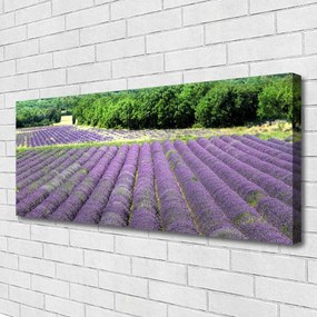 Obraz na płótnie Kolorowa Łąka na Płótnie